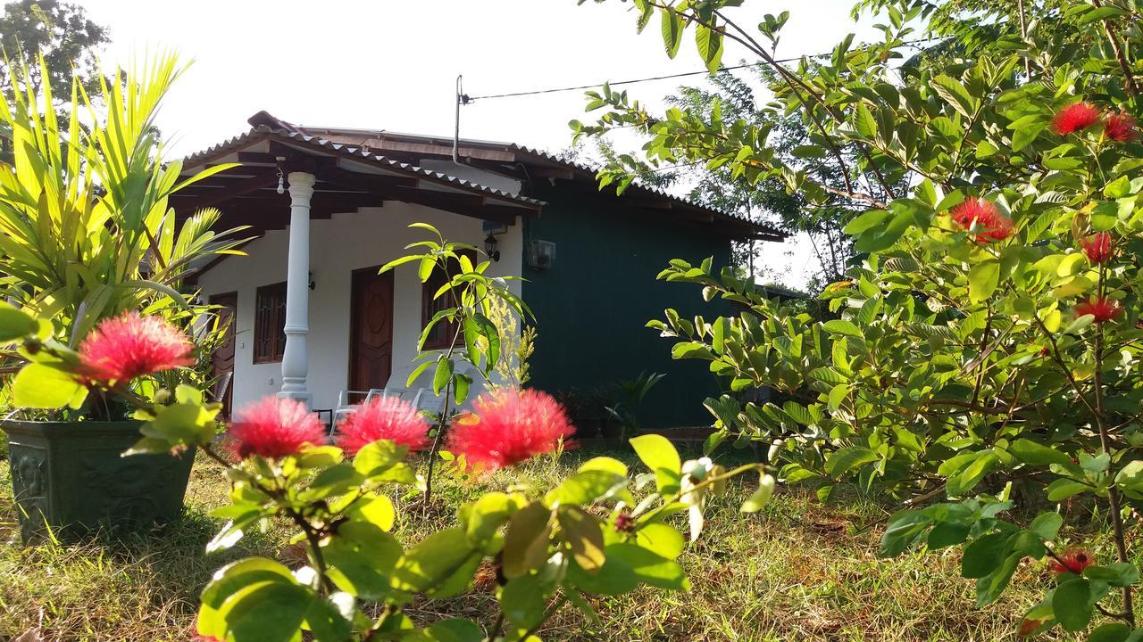 Sigiriya Amenity Home Stay Zewnętrze zdjęcie