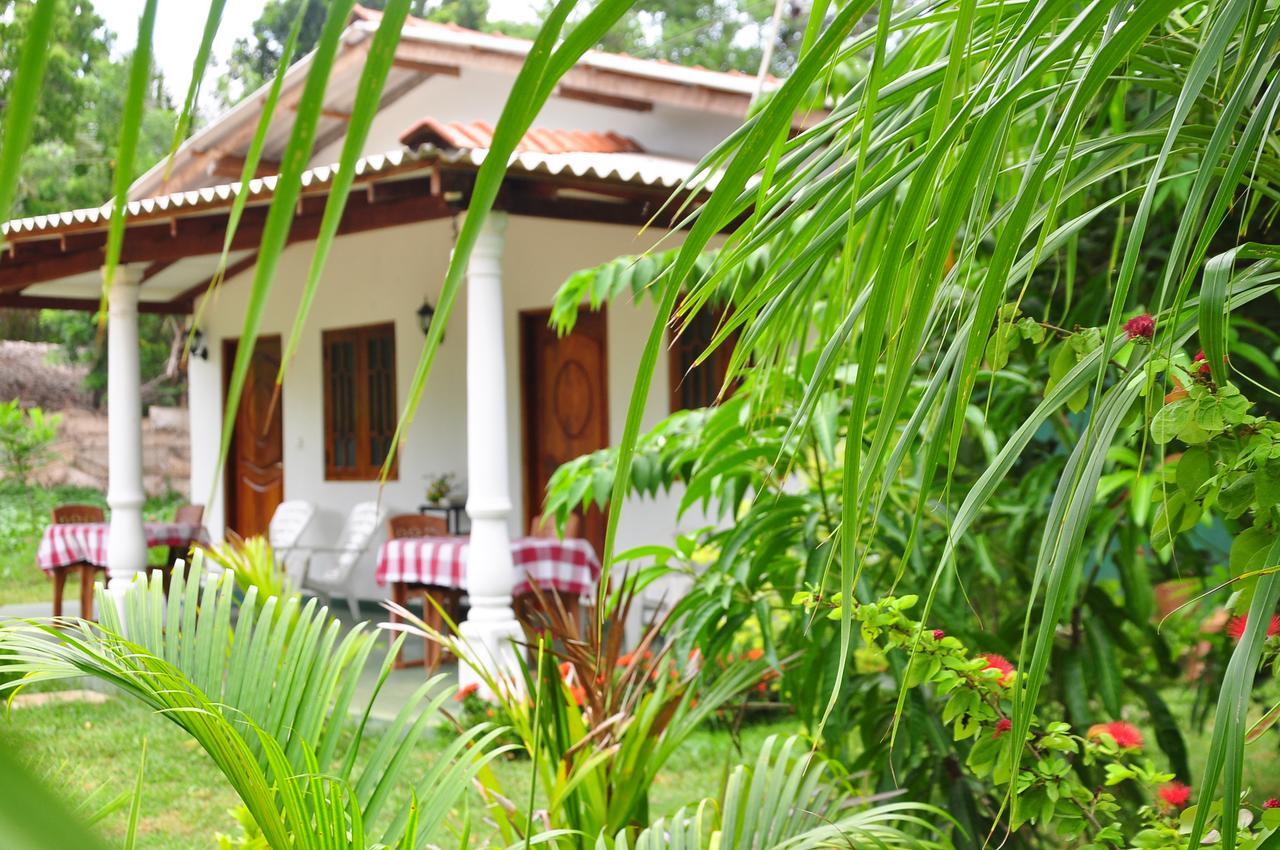 Sigiriya Amenity Home Stay Zewnętrze zdjęcie