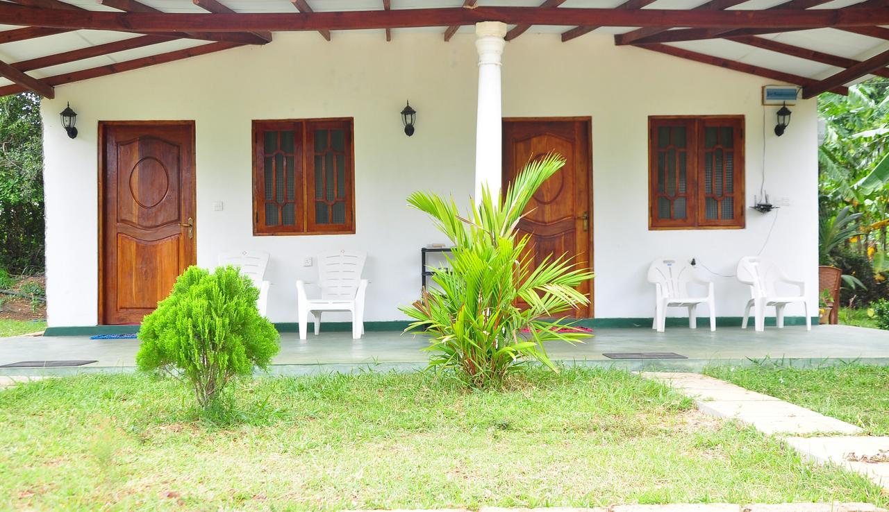 Sigiriya Amenity Home Stay Zewnętrze zdjęcie