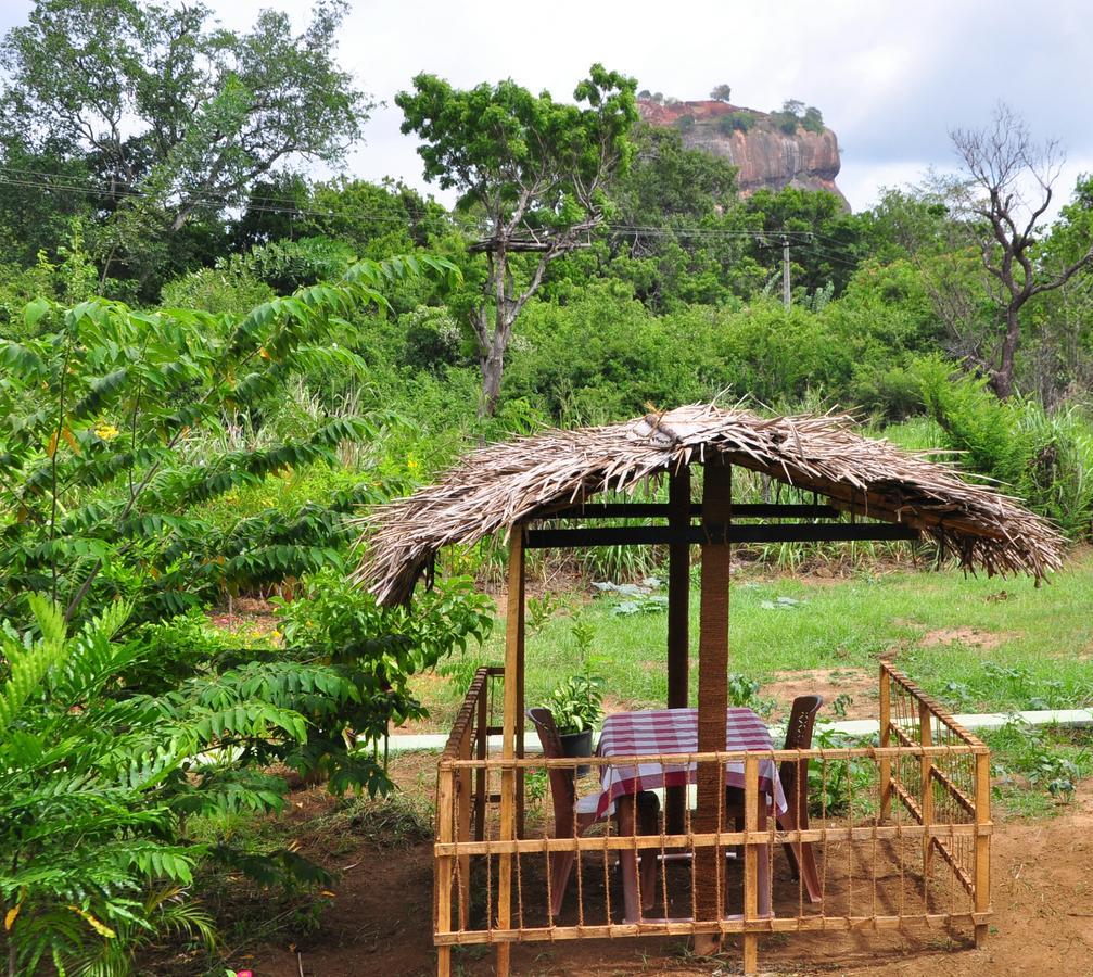 Sigiriya Amenity Home Stay Zewnętrze zdjęcie