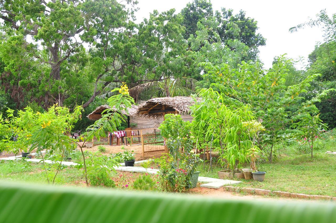 Sigiriya Amenity Home Stay Zewnętrze zdjęcie