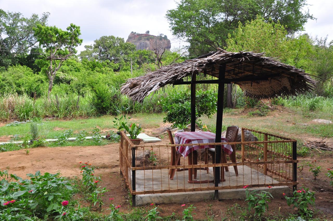 Sigiriya Amenity Home Stay Zewnętrze zdjęcie