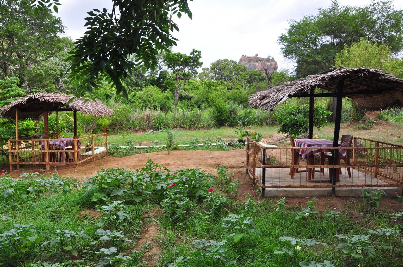 Sigiriya Amenity Home Stay Zewnętrze zdjęcie